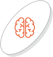 brain
